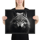 Eyes of the Wild: The Wolf's Gaze