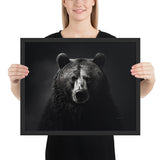 Eyes of the Wild: The Bear's Gaze