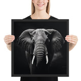 Eyes of the Wild: The Elephant's Gaze