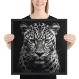 Eyes of the Wild: The Jaguar's Gaze