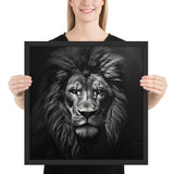 Eyes of the Wild: The Lion's Gaze