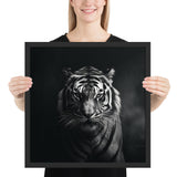 Eyes of the Wild: The Tiger's Gaze