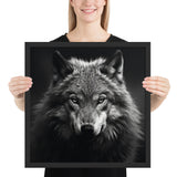 Eyes of the Wild: The Wolf's Gaze