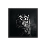 Eyes of the Wild: The Tiger's Gaze