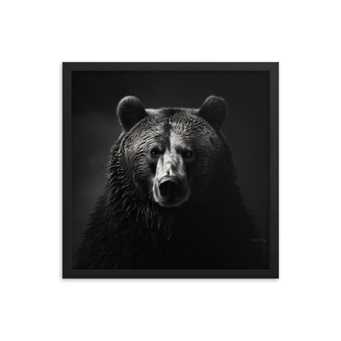 Eyes of the Wild: The Bear's Gaze