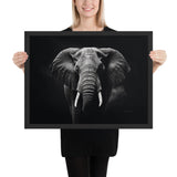 Eyes of the Wild: The Elephant's Gaze