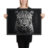 Eyes of the Wild: The Jaguar's Gaze