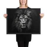 Eyes of the Wild: The Lion's Gaze