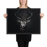 Eyes of the Wild: The Deer's Gaze