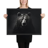 Eyes of the Wild: The Bear's Gaze