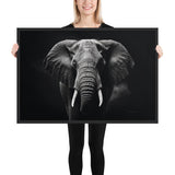 Eyes of the Wild: The Elephant's Gaze