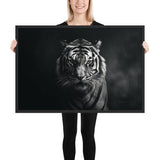 Eyes of the Wild: The Tiger's Gaze