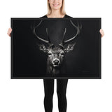 Eyes of the Wild: The Deer's Gaze