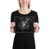 Eyes of the Wild: The Lion's Gaze