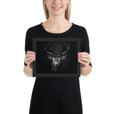 Eyes of the Wild: The Deer's Gaze