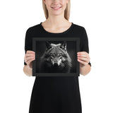 Eyes of the Wild: The Wolf's Gaze