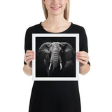 Eyes of the Wild: The Elephant's Gaze