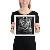 Eyes of the Wild: The Jaguar's Gaze