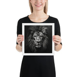 Eyes of the Wild: The Lion's Gaze