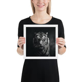 Eyes of the Wild: The Tiger's Gaze