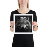 Eyes of the Wild: The Wolf's Gaze