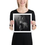 Eyes of the Wild: The Zebra's Gaze