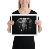 Eyes of the Wild: The Elephant's Gaze