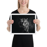 Eyes of the Wild: The Tiger's Gaze