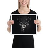 Eyes of the Wild: The Deer's Gaze
