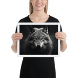 Eyes of the Wild: The Wolf's Gaze