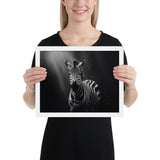 Eyes of the Wild: The Zebra's Gaze