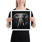 Eyes of the Wild: The Elephant's Gaze