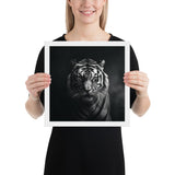 Eyes of the Wild: The Tiger's Gaze