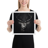 Eyes of the Wild: The Deer's Gaze