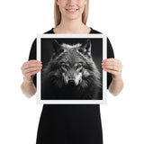 Eyes of the Wild: The Wolf's Gaze