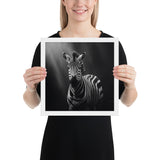 Eyes of the Wild: The Zebra's Gaze