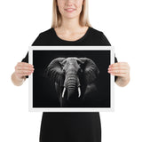 Eyes of the Wild: The Elephant's Gaze