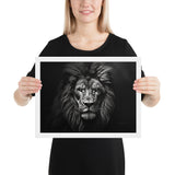 Eyes of the Wild: The Lion's Gaze