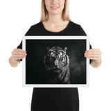 Eyes of the Wild: The Tiger's Gaze
