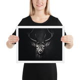 Eyes of the Wild: The Deer's Gaze