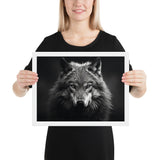 Eyes of the Wild: The Wolf's Gaze