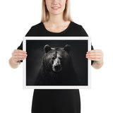 Eyes of the Wild: The Bear's Gaze