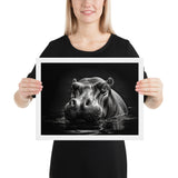 Eyes of the Wild: The Hippopotamus's Gaze