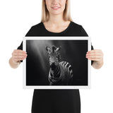 Eyes of the Wild: The Zebra's Gaze