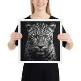 Eyes of the Wild: The Jaguar's Gaze