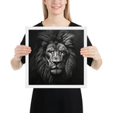 Eyes of the Wild: The Lion's Gaze