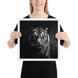 Eyes of the Wild: The Tiger's Gaze