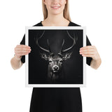 Eyes of the Wild: The Deer's Gaze