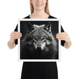 Eyes of the Wild: The Wolf's Gaze
