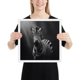 Eyes of the Wild: The Zebra's Gaze